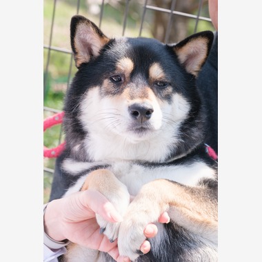 高夏写真店が出張撮影した「家族写真の撮影」の家族写真