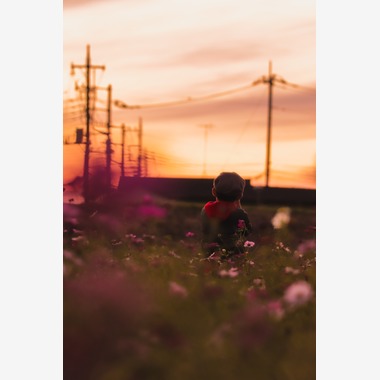 菅谷亜由美が撮影した「キッズ写真」の写真