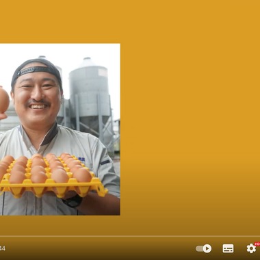 Castella Designが撮影した「YouTube動画」の写真