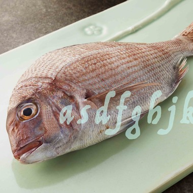 西原毅が撮影した「高級素材」の写真