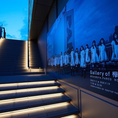 稲葉幸辰が撮影した「夜空に輝く欅坂46」の写真