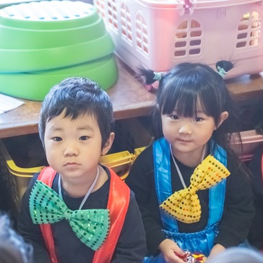 武内ピクチャーズが撮影した「幼稚園・保育園、発表会」の写真