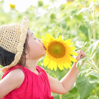 Photo taken by Nagai - one Day