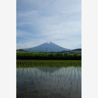KotobukiPhotosが撮影した「風景」の写真