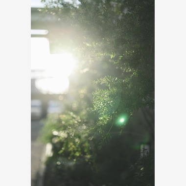 フジオカ　シュウヘイが撮影した「ウエディング撮影(朝〜挙式)」の写真