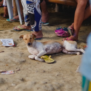 Katsuhiko Suzukiが撮影した「Asia」の写真