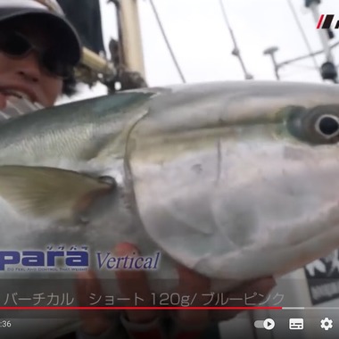 Castella Designが撮影した「YouTube」の写真