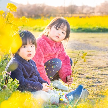 maimaiCameraが撮影した「ローケーションフォトサンプル」の写真
