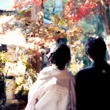 フォトテリア パーチェが撮影した「鹿沼」の写真