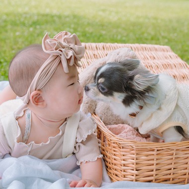 松嵜直斗が出張撮影した「ベビーフォト」の家族写真