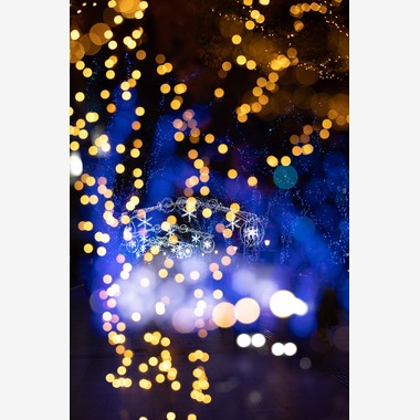 西川　正浩が撮影した「その他」の写真