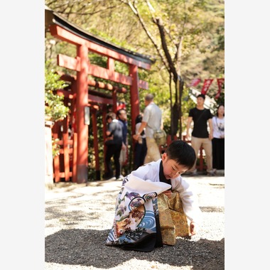 Photographer  Tomoが撮影した「七五三」の写真