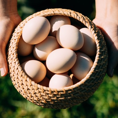 MADOCAが撮影した「」の写真