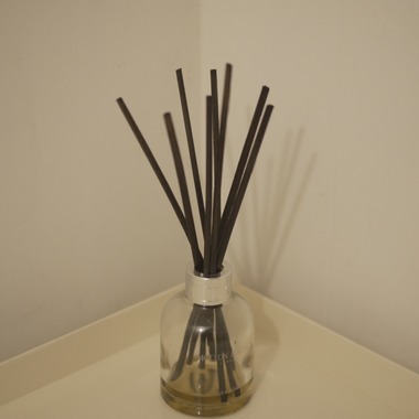 太和皇商事株式会社が撮影した「Fx30」の写真