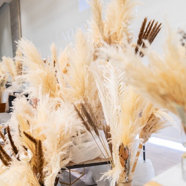 森岡　史仁が撮影した「ブライダル・花壇関係」の写真