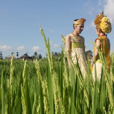 Photo taken by Manis Wedding International - 