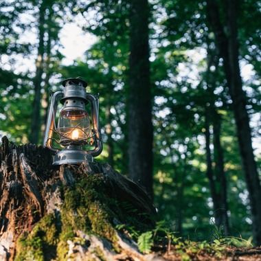 Aya Petite Photographyが撮影した「ロケーション撮影（キャンプ場）」の写真