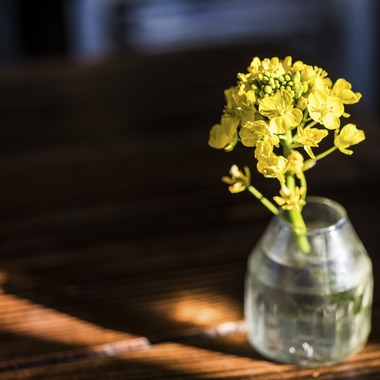 リトルダイナソーが撮影した「商品出張撮影」の写真