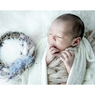 もりしたつよしが出張撮影した「Family location」の家族写真