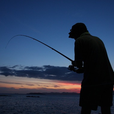 blink photoが撮影した「風景」の写真