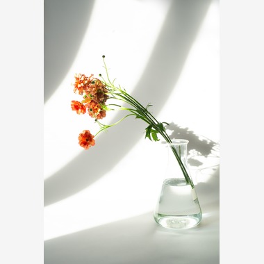 NOJYO高木俊幸写真事務所が撮影した「花」の写真