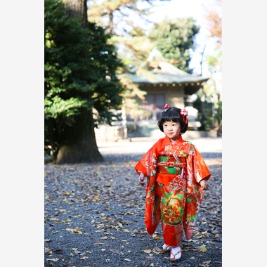 KOMOREBI Photo.　大如　耕平が出張撮影した「七五三神社撮影」の家族写真