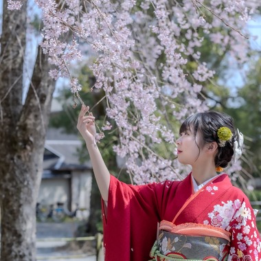 あおフォトが撮影した「成人式」の写真