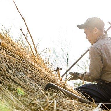 水本光が撮影した「働いている様子」の写真