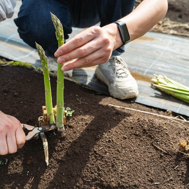 oryo studioが撮影した「記事」の写真