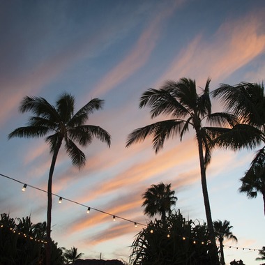 Willow Photoが撮影した「Vintage Wine Week at Four Seasons Resort Maui」の写真