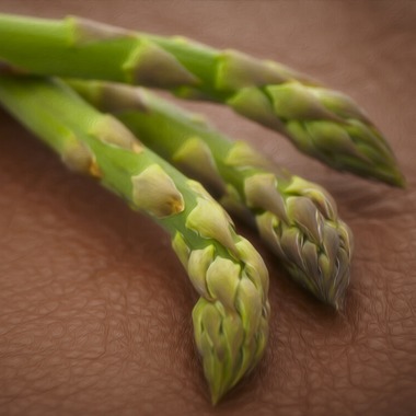 AONO STUDIOが撮影した「料理」の写真