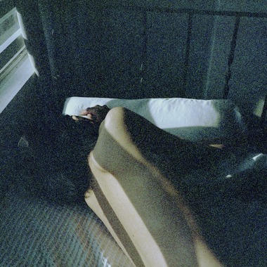 石田将大が撮影した「Untitled」の写真