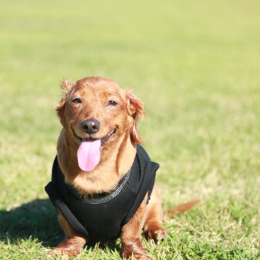 千 円空が撮影した「」の写真