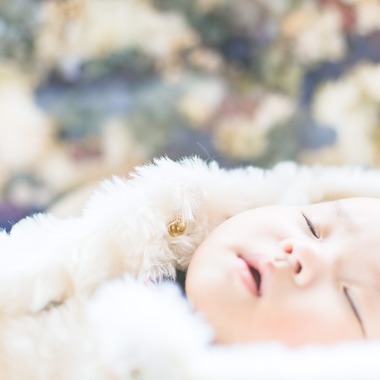 米田　卓也が撮影した「LOVEBUM（家族写真）」の写真