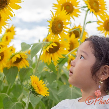 Photo taken by Photomemocon - 