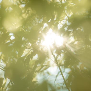 Photo taken by 木村　智 - 