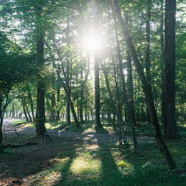 Aya Petite Photographyが撮影した「ロケーション撮影（キャンプ場）」の写真