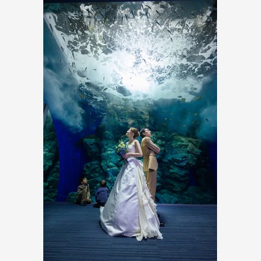 Studio IKKENが撮影した「ドレス前撮り」の写真