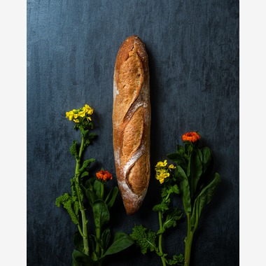 Hiroshi Horiが撮影した「スチルライフ」の写真