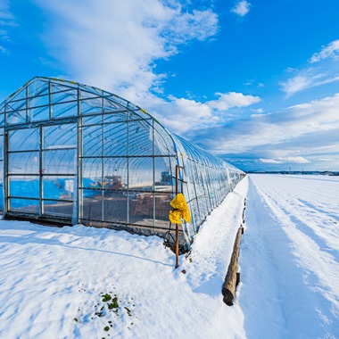 高木勇斗が撮影した「風景　物撮り」の写真