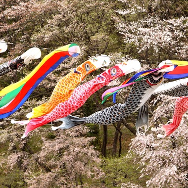 瀬井美明が撮影した「海外・国内」の写真