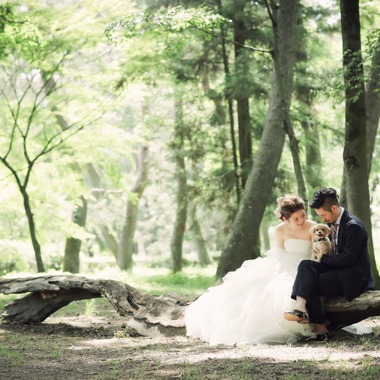 elle pupaが撮影した「京都（自然）」の写真