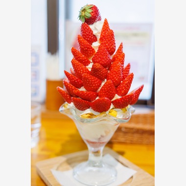 ちずカメラが撮影した「料理」の写真