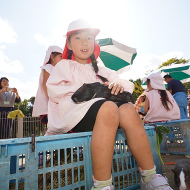 スタジオ　まるが撮影した「色々なスクールフォト」の写真