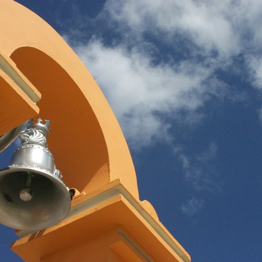 出張撮影のメモリーズが撮影した「nature-アラカルト」の写真