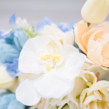 埜下詩織が撮影した「室内撮り、物撮り」の写真