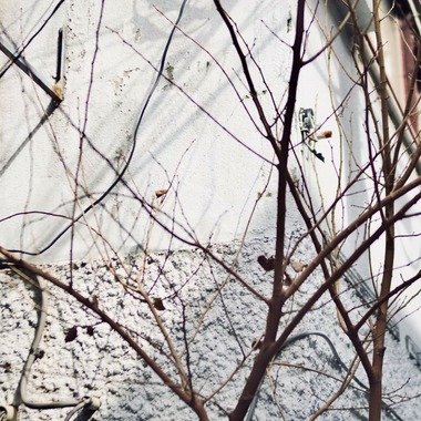 太和皇商事株式会社が撮影した「Fx30」の写真