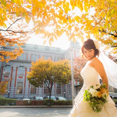 阿部写真館　大阪本町 靭公園前が撮影した「紅葉」の写真