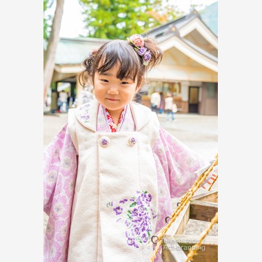 Act-brandingが撮影した「七五三出張撮影＠白山比咩神社」の写真