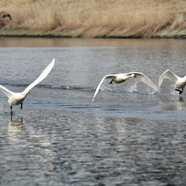 TATEZOUが撮影した「ポートレート等」の写真